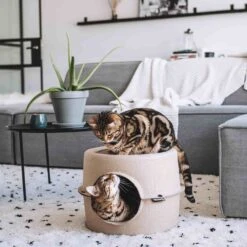 District 70 Kattenmand Bunker D 44 H 30 Cm -Beeztets Winkel 8717202615247 7