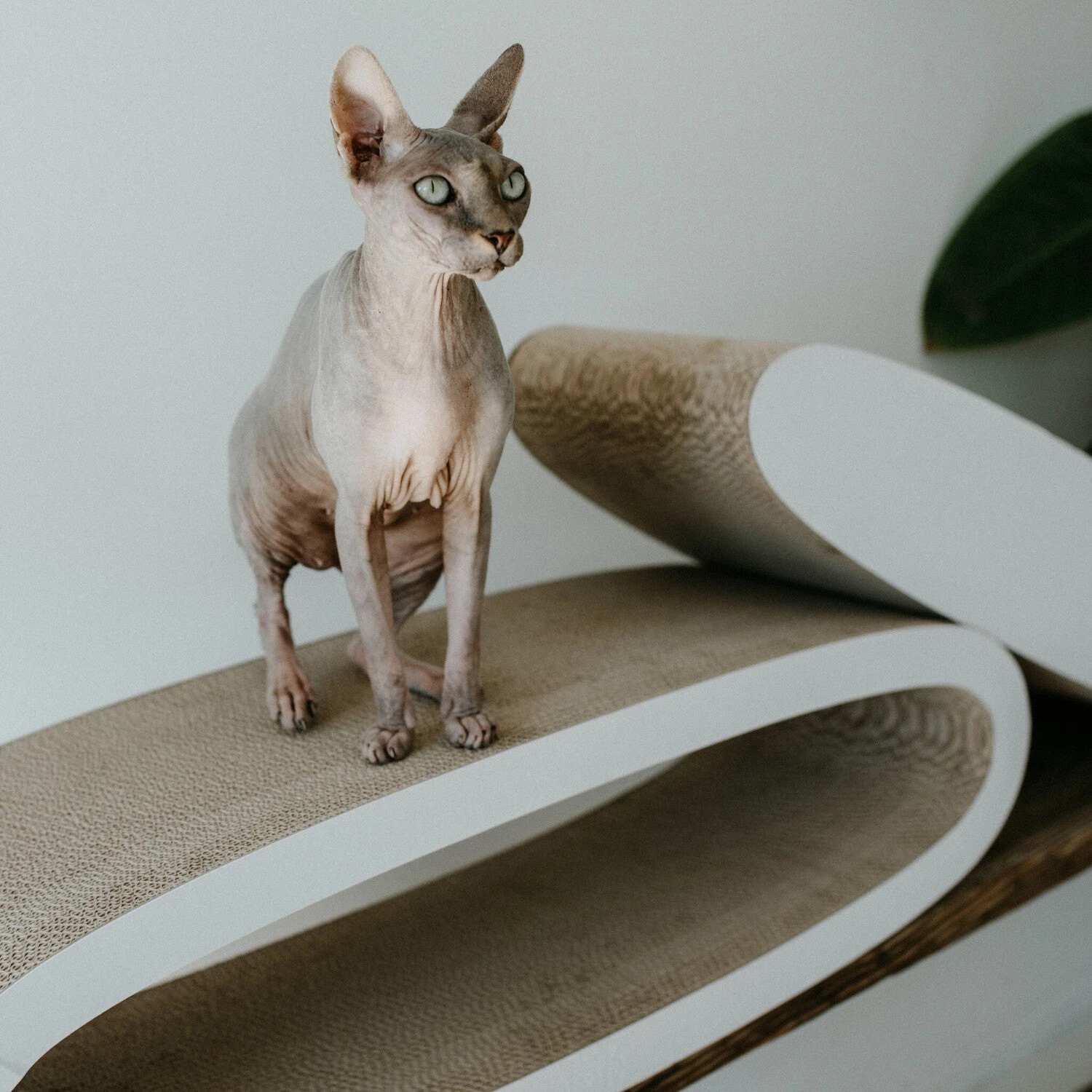 District 70 Krabkarton Office Wit 84 X 24 X 24 Cm 7 District 70 Krabkarton Office Wit 84 X 24 X 24 Cm - Afbeelding 7