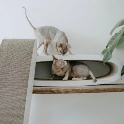 District 70 Krabkarton Office Wit 84 X 24 X 24 Cm 11 District 70 Krabkarton Office Wit 84 X 24 X 24 Cm -Beeztets Winkel 8717202615285 8