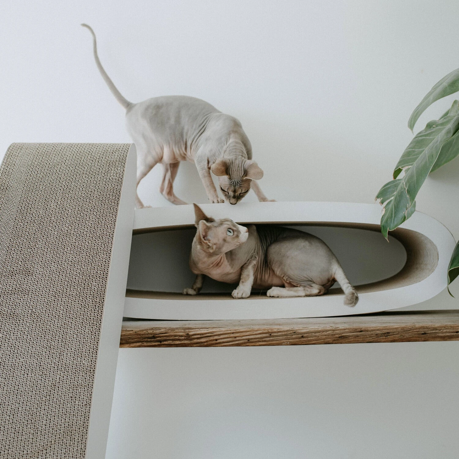 District 70 Krabkarton Office Wit 84 X 24 X 24 Cm 5 District 70 Krabkarton Office Wit 84 X 24 X 24 Cm - Afbeelding 5