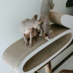 District 70 Krabkarton Office Wit 84 X 24 X 24 Cm 12 District 70 Krabkarton Office Wit 84 X 24 X 24 Cm -Beeztets Winkel 8717202615285 9