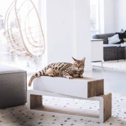 District 70 Krabkarton Stretch Wit 84 X 24 X 24 Cm 9 District 70 Krabkarton Stretch Wit 84 X 24 X 24 Cm -Beeztets Winkel 8717202615292 4