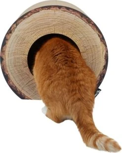 District 70 Krabkarton Boomstam Bruin D 40 H 30 Cm 7 District 70 Krabkarton Boomstam Bruin D 40 H 30 Cm -Beeztets Winkel 8717202615315 2