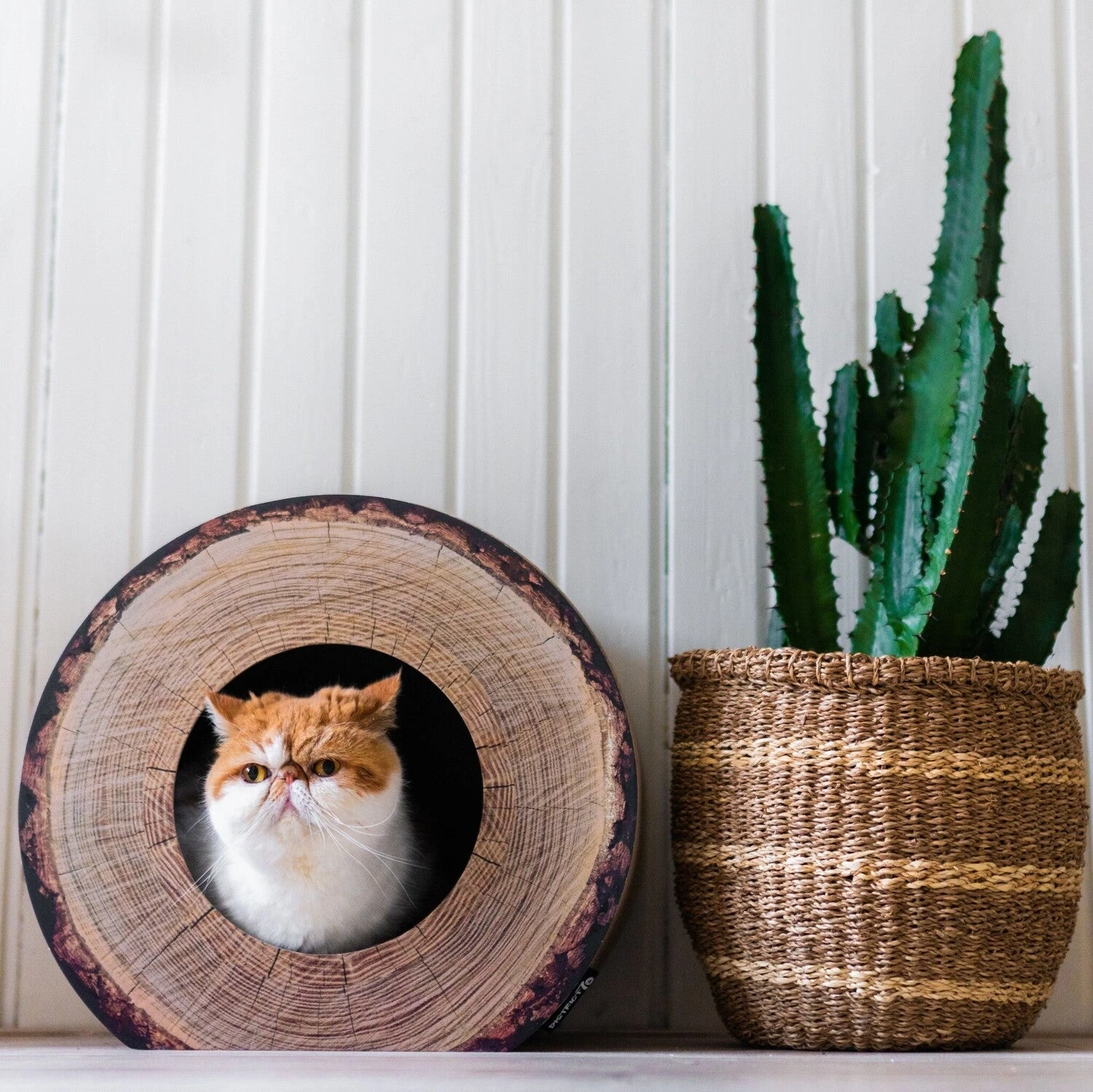 District 70 Krabkarton Boomstam Bruin D 40 H 30 Cm 4 District 70 Krabkarton Boomstam Bruin D 40 H 30 Cm - Afbeelding 4