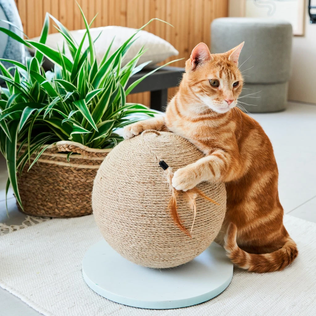 Intratuin Krabbol Bruin/wit D 25 H 30 Cm 2 Intratuin Krabbol Bruin/wit D 25 H 30 Cm - Afbeelding 2