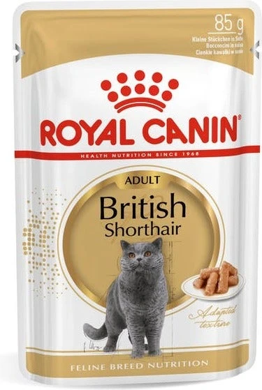 Royal Canin Kattenvoer Brits Korthaar Adult 85 G 12 Stuks 1 Royal Canin Kattenvoer Brits Korthaar Adult 85 G 12 Stuks