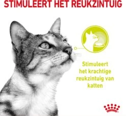 Royal Canin Kattenvoer In Saus Sensory Smell 85 G 12 Stuks -Beeztets Winkel 9003579018507 3