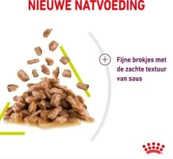 Royal Canin Kattenvoer In Saus Sensory Smell 85 G 12 Stuks -Beeztets Winkel 9003579018507 4