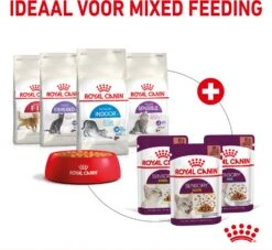 Royal Canin Kattenvoer In Saus Sensory Smell 85 G 12 Stuks -Beeztets Winkel 9003579018507 5