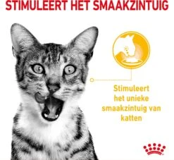 Royal Canin Kattenvoer In Saus Sensory Taste 85 G 12 Stuks -Beeztets Winkel 9003579018859 3