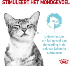 Royal Canin Kattenvoer In Saus Sensory Feel 85 G 12 Stuks -Beeztets Winkel 9003579018934 3