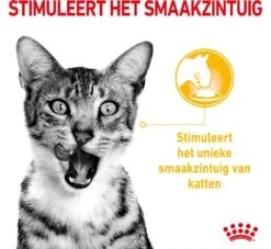 Royal Canin Kattenvoer In Saus Sensory Mix 85 G 12 Stuks -Beeztets Winkel 9003579019030 5