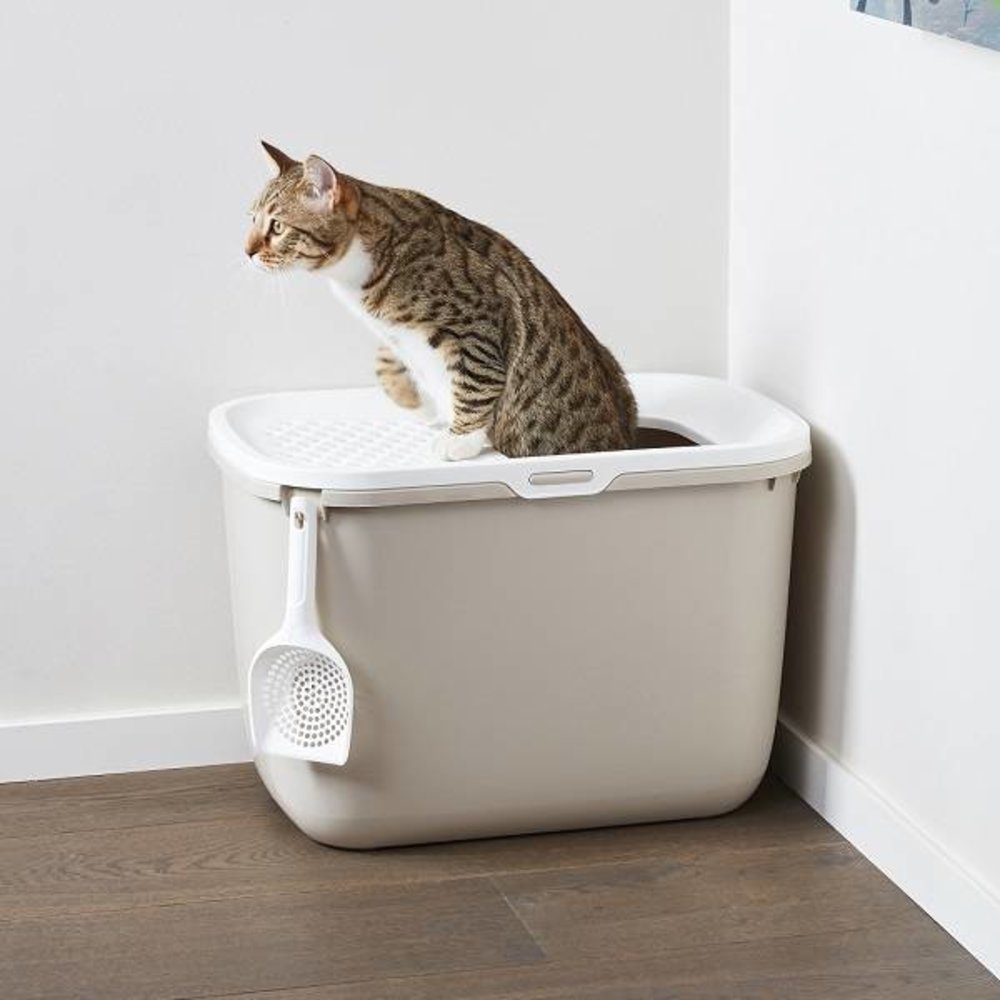 Beeztets Winkel -Beeztets Winkel savic hop in kattenbak mokka wit